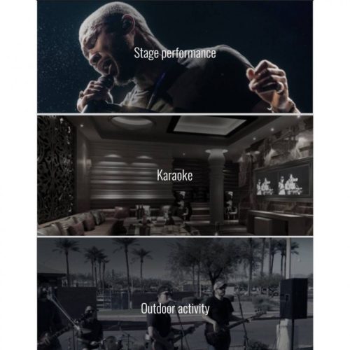 TAKSTAR TA-60 - Live Performers Dynamic Microphone with supercardiod polar pattern